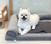 댕댕사우나