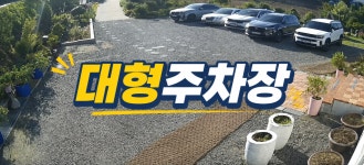 더쉼491