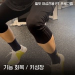 윌핏여성전용PT