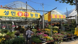 성민꽃란농원