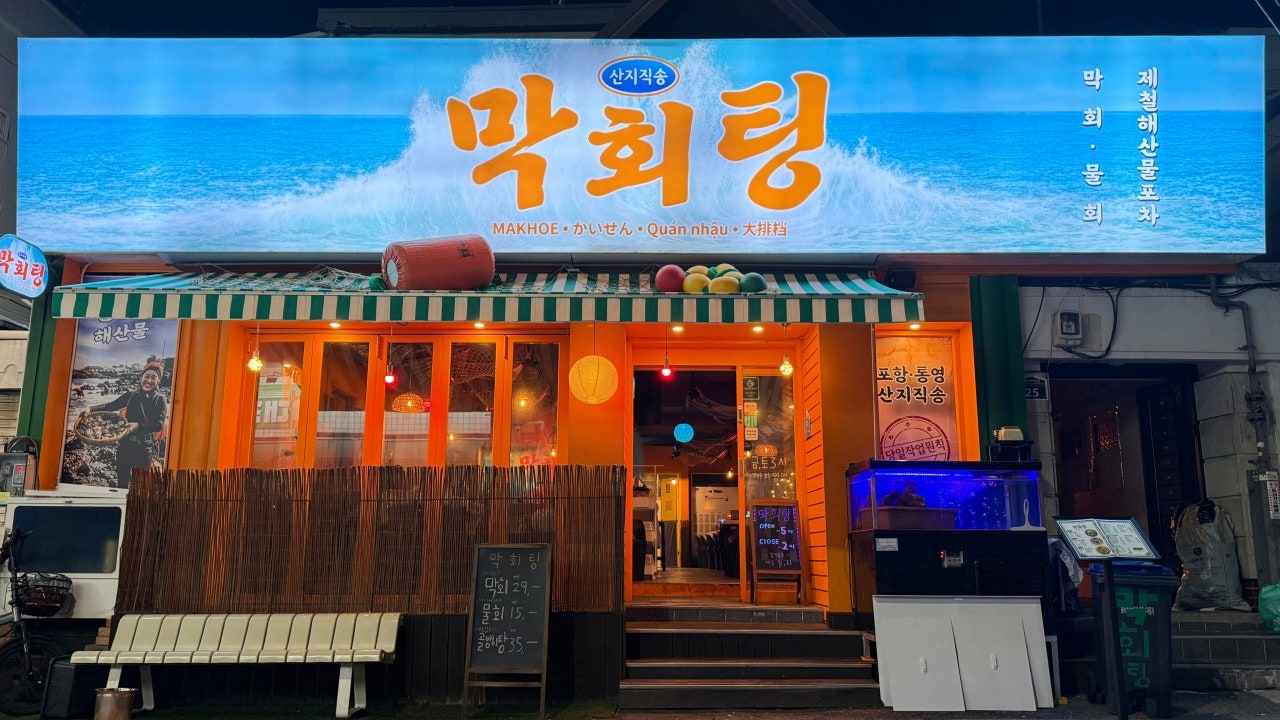 막회팅