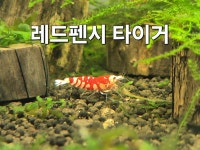 아쿠아워시청주주중점 | 아쿠아존
