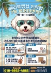 메리몰펫샵안락점 애견미용