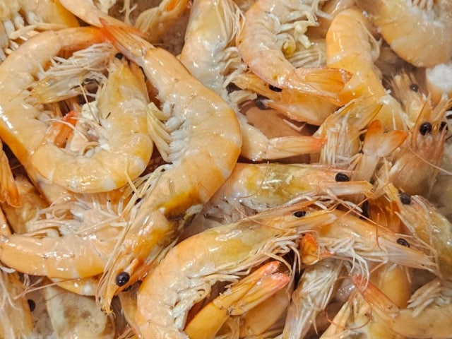 조개랑새우랑