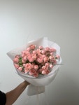 포에플