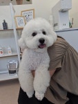 마이펫살롱