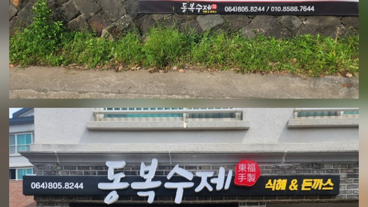 동복수제