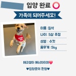 사랑스럽개 애견카페