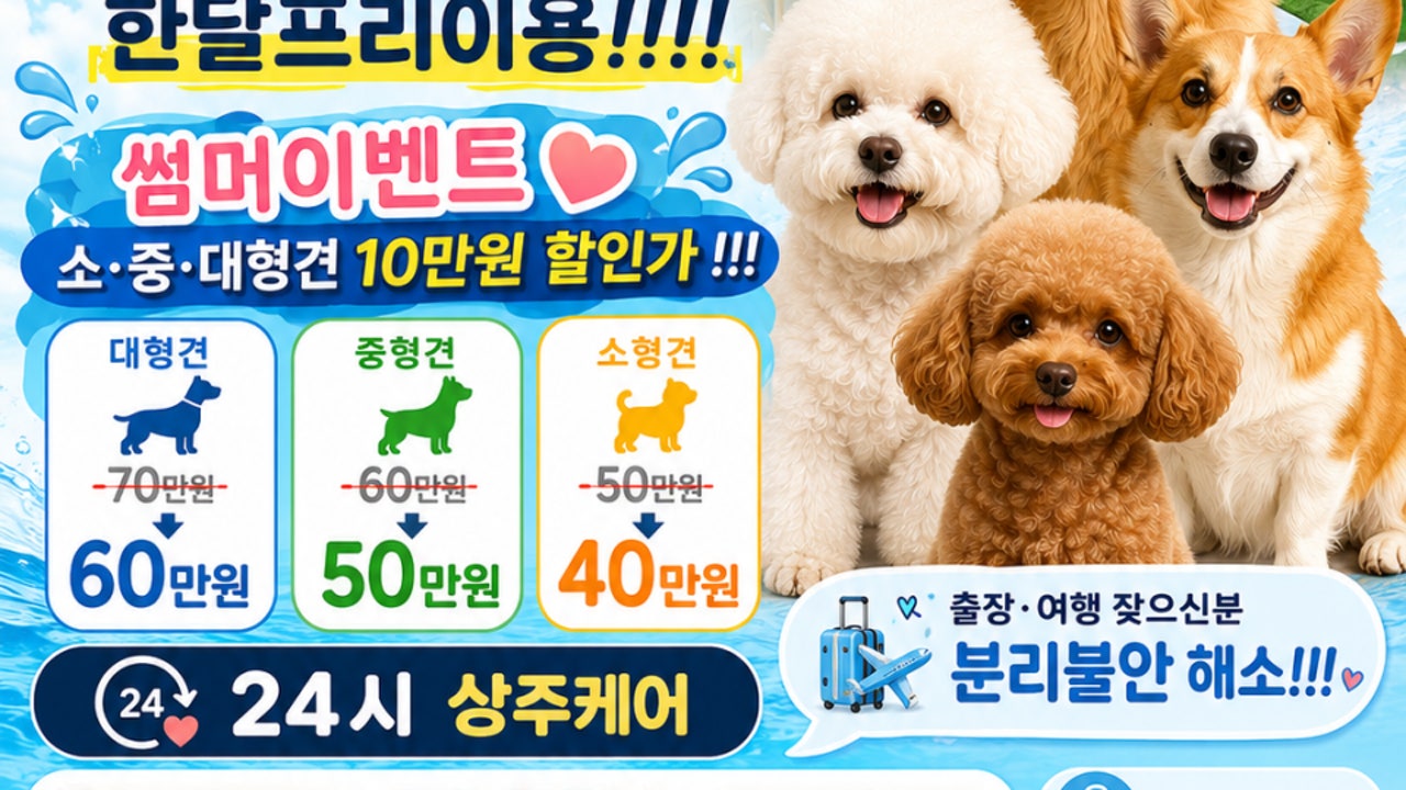 댕댕뿌치