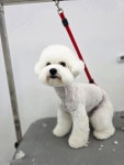 큐티몽
