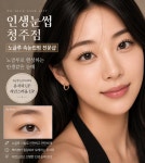 인생눈썹