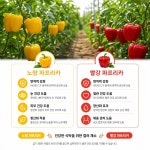 로스트앤베이크키친랩 | 한스키친랩