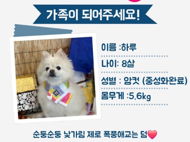 사랑스럽개 애견카페