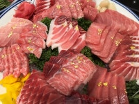 e-조은참치
