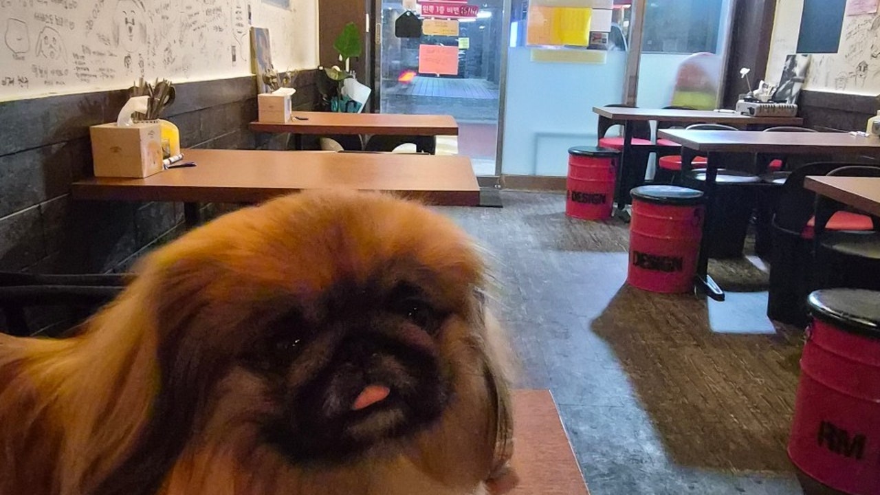 술독