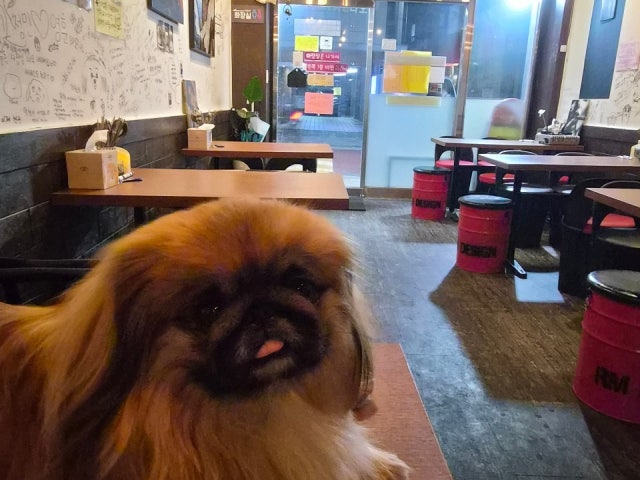 술독