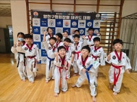 경희대석사양목태권도합기도