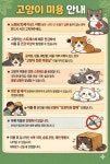 인생개컷