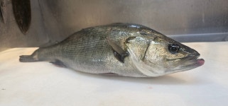 은화횟집