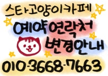 스타고양이카페
