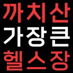 더블에스휘트니스 까치산역점