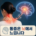 숨미고