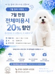 루시앙펫살롱