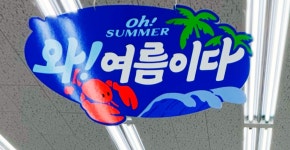 다이소 전주서신2호점