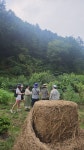 여행가고싶다