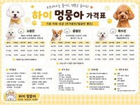 하이 멍뭉아