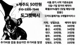 도그펫