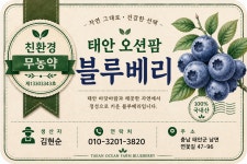 태안오션팜 블루베리