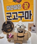 멍균관대