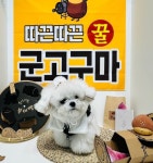 멍균관대