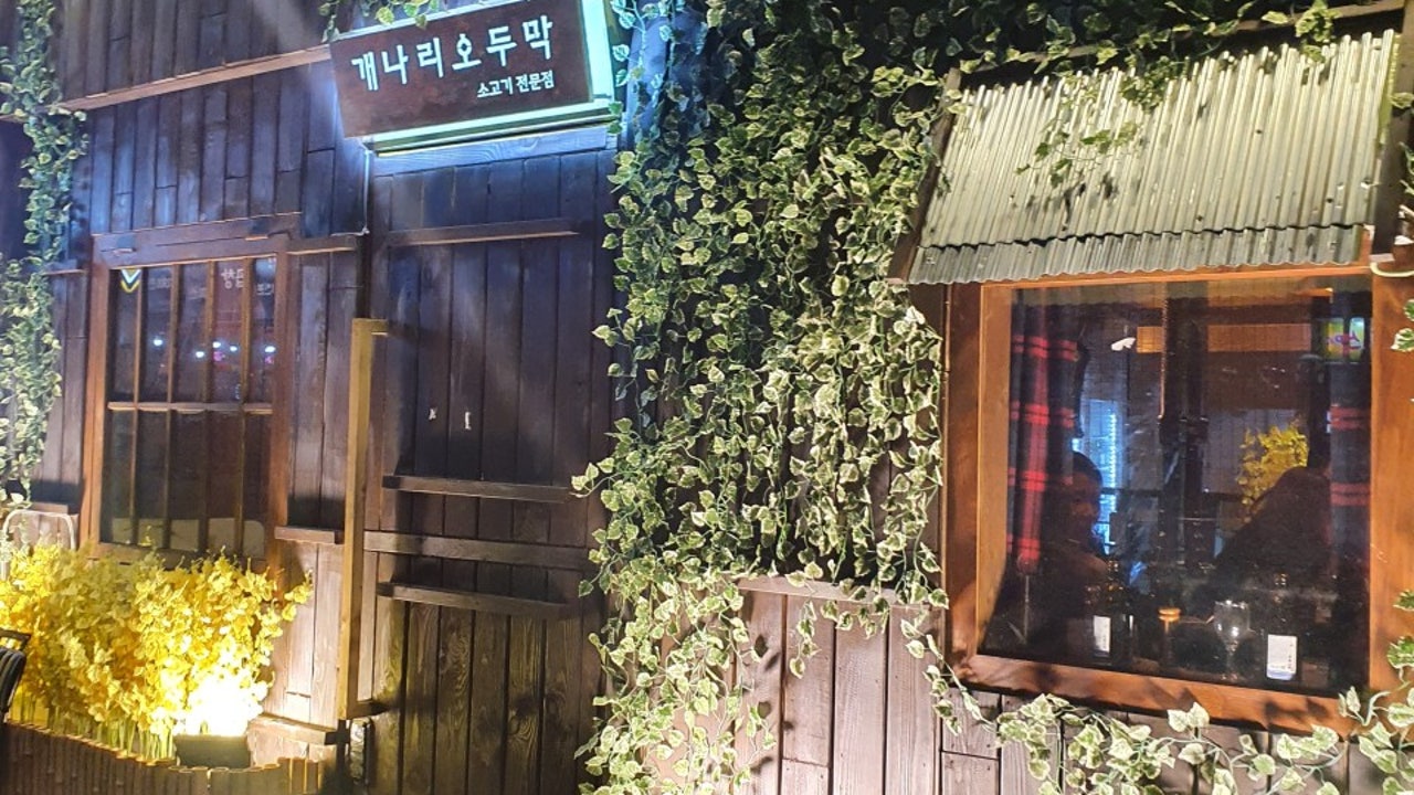 개나리 오두막