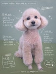 개스트살롱