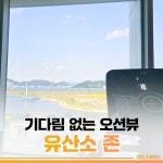 성지스포렉스