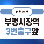 연세리더스정형외과의원