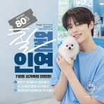 해피애견타운 서울잠실송파점 강아지분양 말티푸미니비숑포메