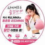리드MMA주짓수