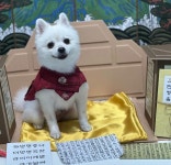 멍균관대