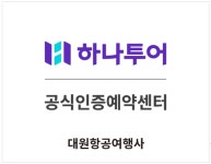 하나투어 대원항공여행사