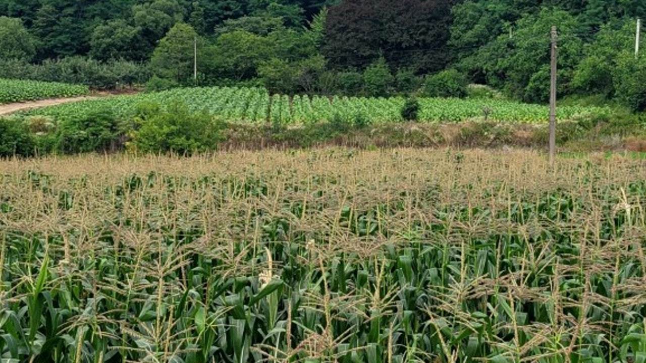 오며가며