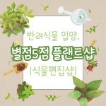 푸른풀밭