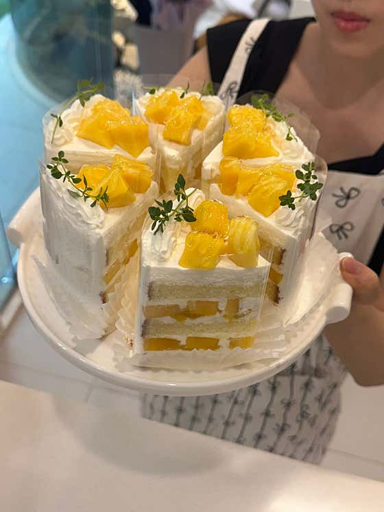 럽스쿠키 사진