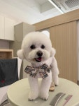 수그루밍