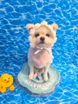강아지미용실