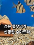 아쿠아워시청주주중점 | 아쿠아존