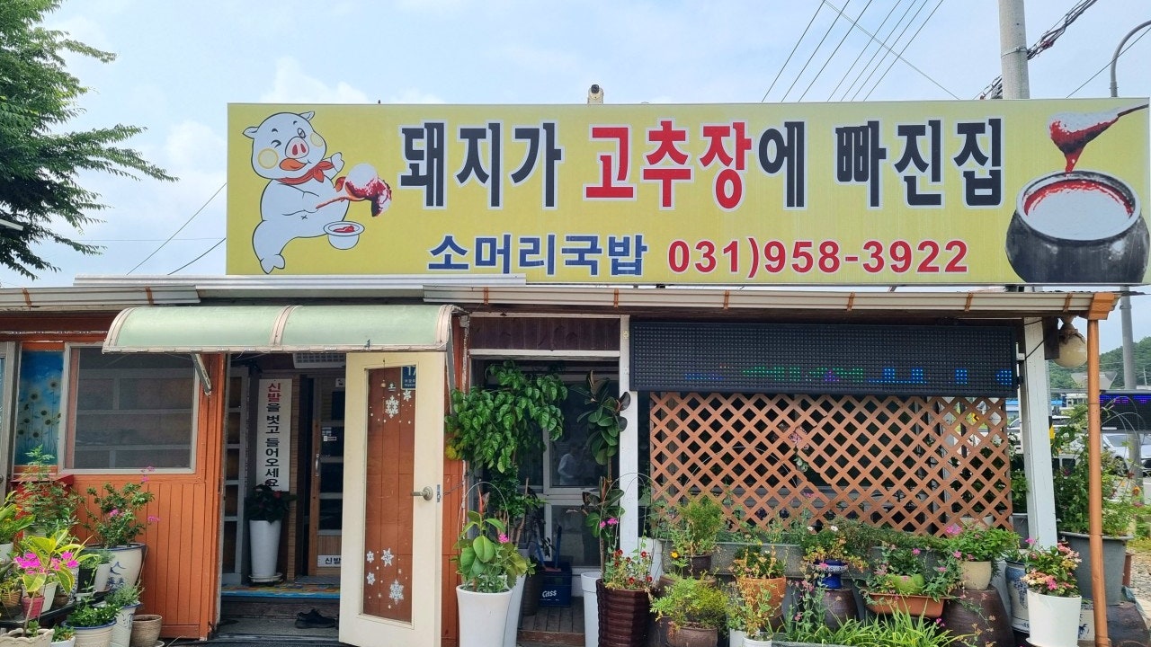 돼지가고추장에빠진집