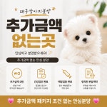 대구강아지분양 퍼피얌